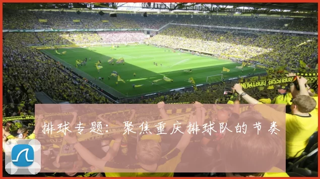 排球专题：聚焦重庆排球队的节奏