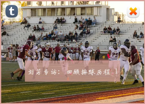 刘芳专访：回顾排球历程_1