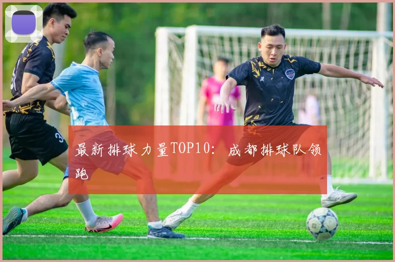 最新排球力量TOP10：成都排球队领跑