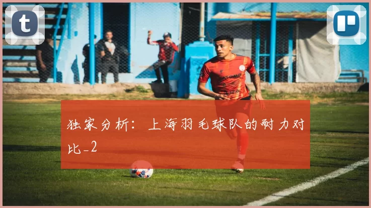 独家分析：上海羽毛球队的耐力对比_2