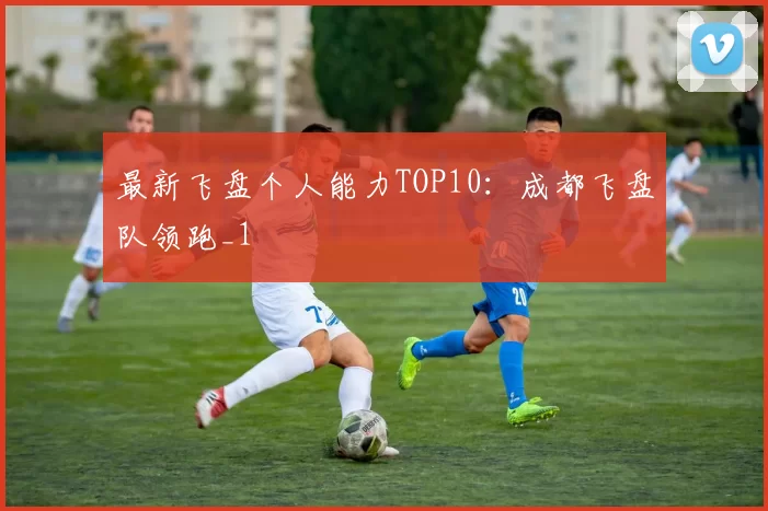 最新飞盘个人能力TOP10：成都飞盘队领跑_1