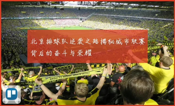 北京排球队逆袭之路揭秘城市联赛背后的奋斗与荣耀