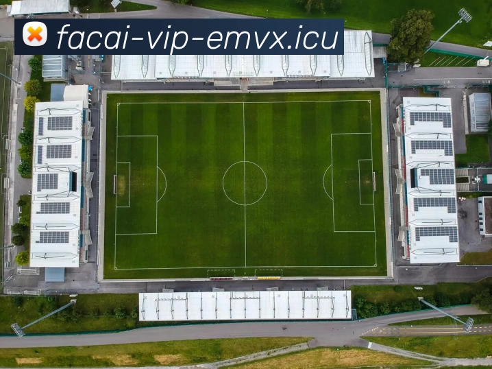 乐鱼体育平台生态图