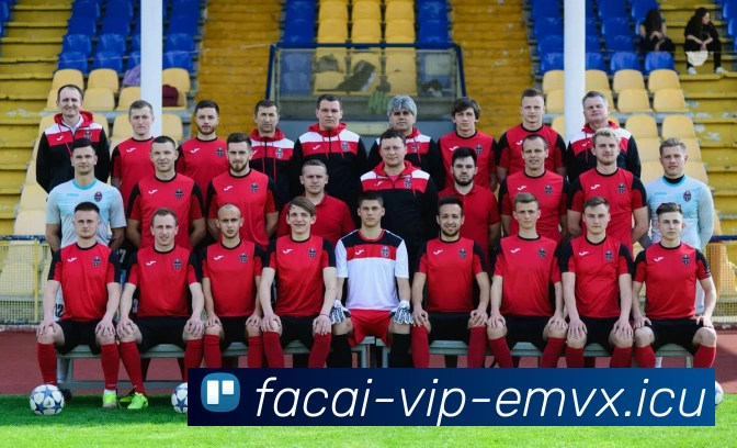 乐鱼体育APP 封面图